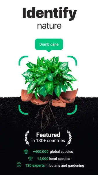 NatureID: Определение растений MOD